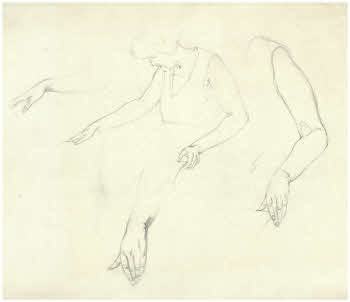 Visualizza l'immagine "FD D 912"